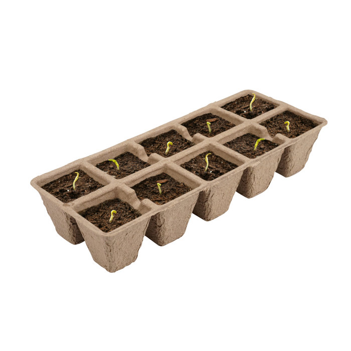Fiberkruka 5 x 10 st Garden